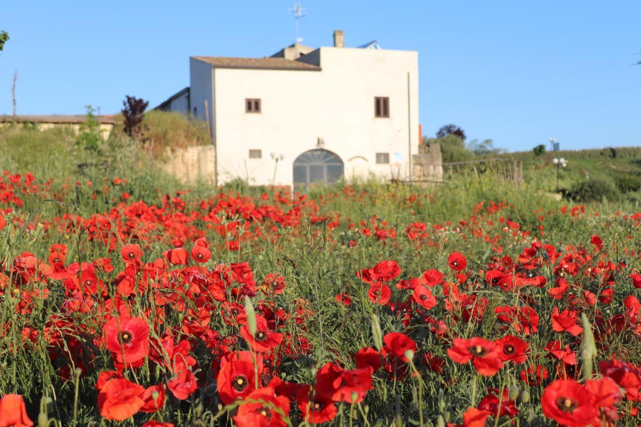 Agriturismo Moschella Posta Piana Exterior foto