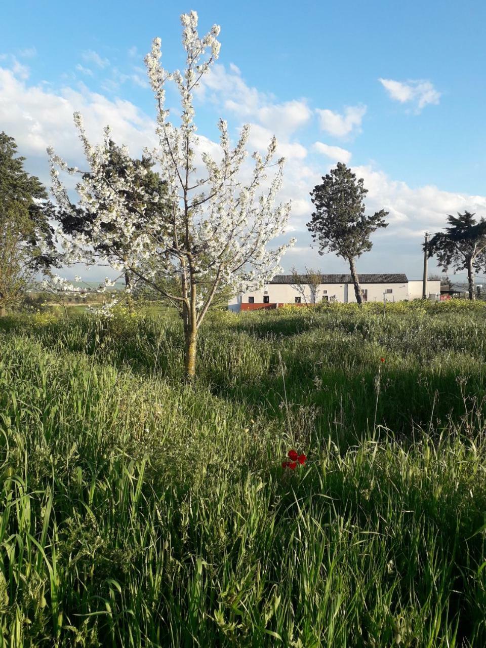 Agriturismo Moschella Posta Piana Exterior foto
